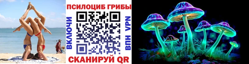 Галлюциногенные грибы Psilocybine cubensis  mega ссылки  Нерчинск 